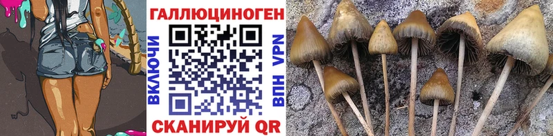 Галлюциногенные грибы Psilocybine cubensis  кракен как войти  Среднеколымск 